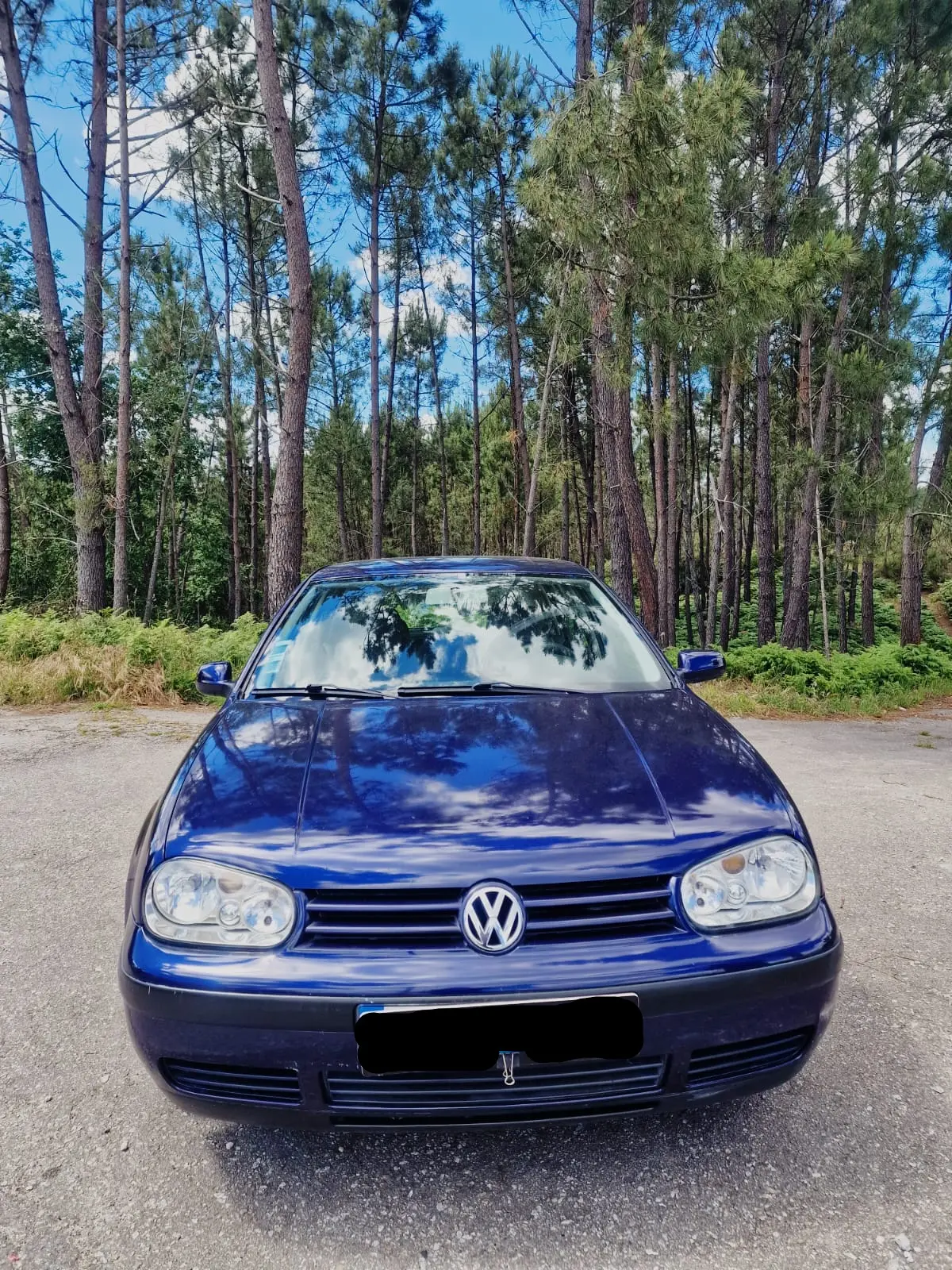 Volkswagen Golf 1.4 — foto 1